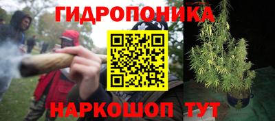 метадон Берёзовский