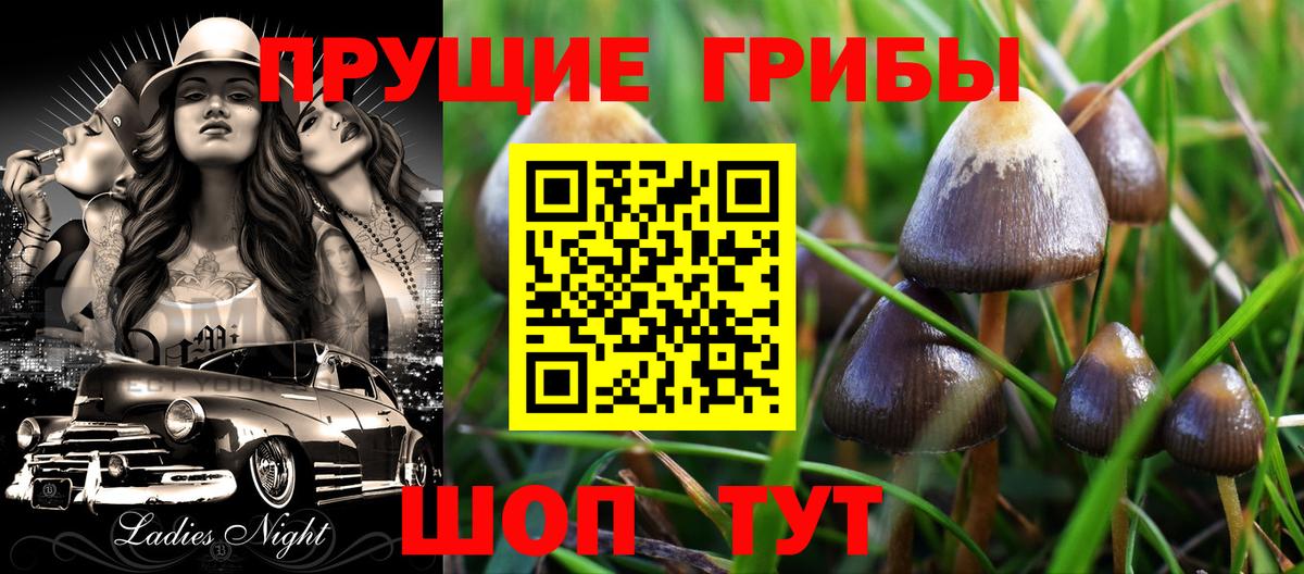 Галлюциногенные грибы мухоморы  Вход с VPN  Галлюциногенные грибы Psilocybe  купить наркотики цена  Камень-на-Оби 