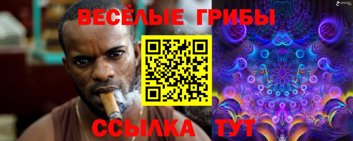 Псилоцибиновые грибы прущие грибы Камень-на-Оби
